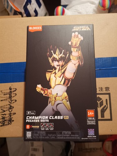 Saint seiya pegasus power - saint,